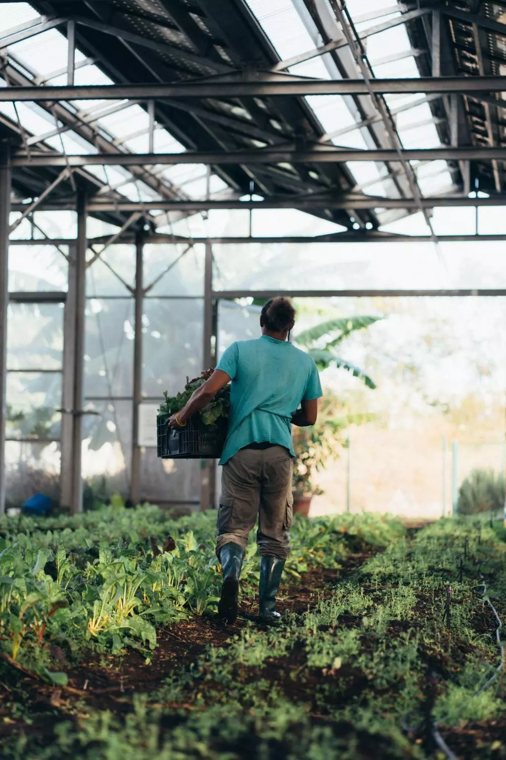 akuo-agriterra-leport-81